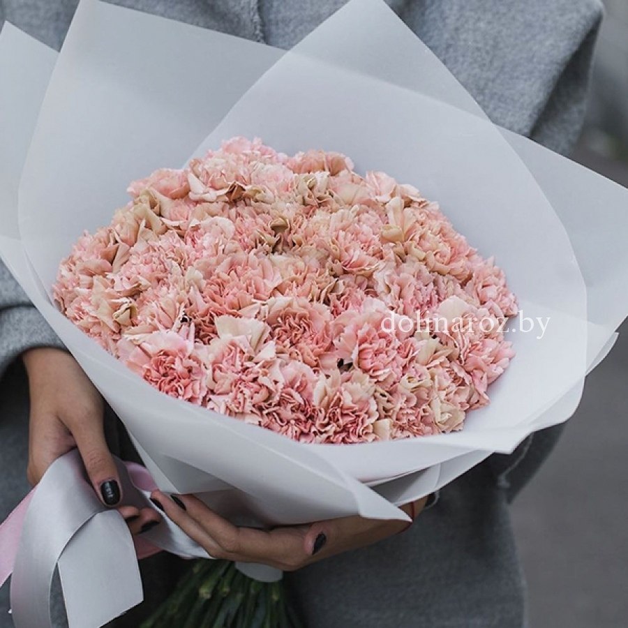 Bouquet of carnations "Awakening"